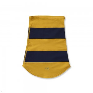 Tracksmith Inverno Neck Warmer Gold/Navy NZ | 31658NGBA