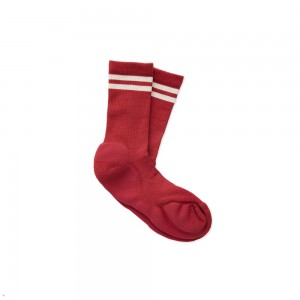 Tracksmith Merino Tube Sock Dark Rose/Ivory NZ | 45613APFH