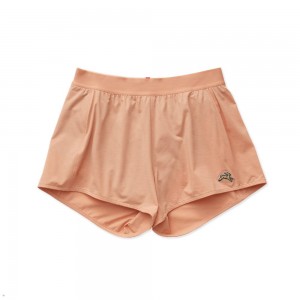 Tracksmith Session Speed Women's Shorts Muted Clay NZ | 05182NQVW