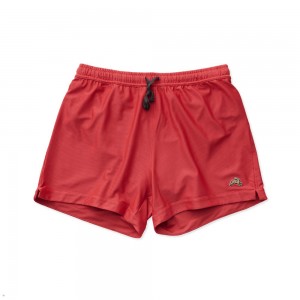 Tracksmith Van Cortlandt Grand Men's Shorts Dark Rose NZ | 07892PULZ