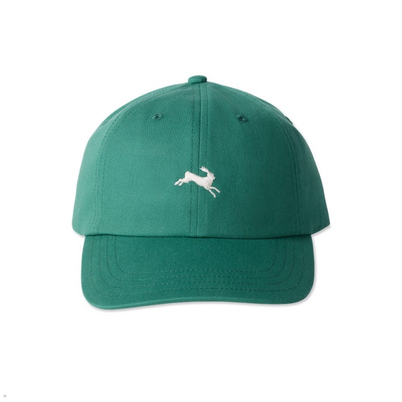 Tracksmith Baseball Hats Green NZ | 18976BOMV