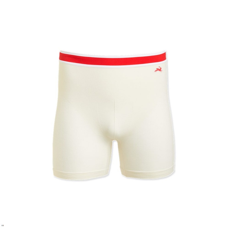 Tracksmith Brighton Boxer Briefs Men\'s Underwear Ivory NZ | 94180ZEUL