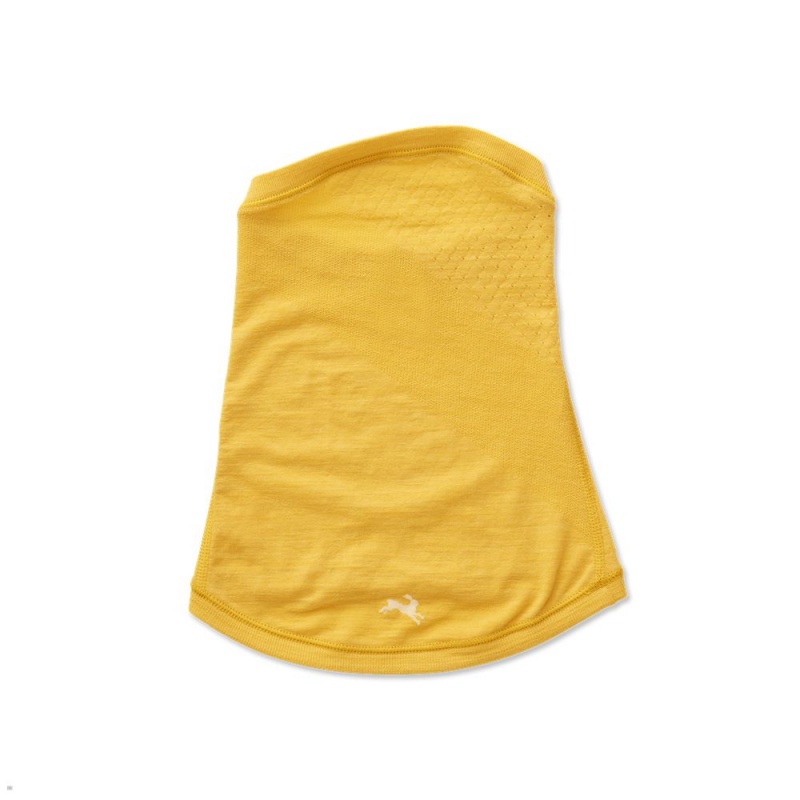 Tracksmith Brighton Neck Warmer Yellow NZ | 50823JKZD