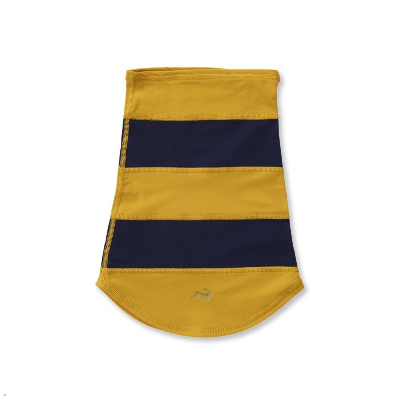 Tracksmith Inverno Neck Warmer Gold/Navy NZ | 31658NGBA