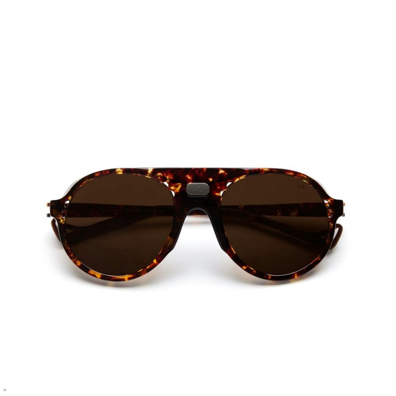 Tracksmith Kazu Tourer Sunglasses Brown NZ | 90372IWFP