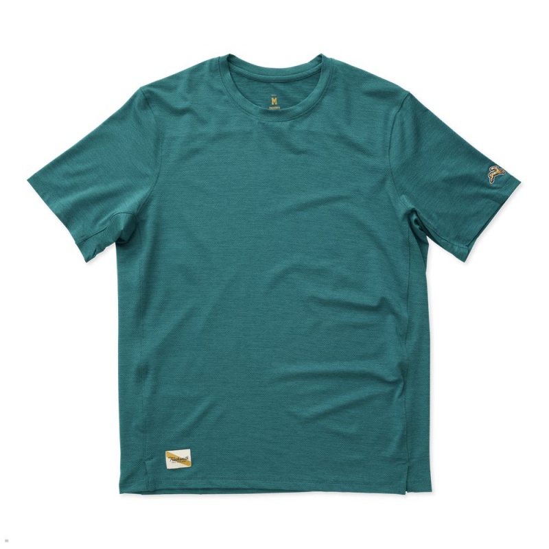 Tracksmith Session Men\'s Tee Dark Spruce NZ | 01547KFVD