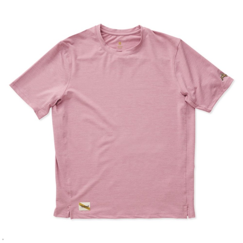 Tracksmith Session Men\'s Tee Rose NZ | 91845UFRJ