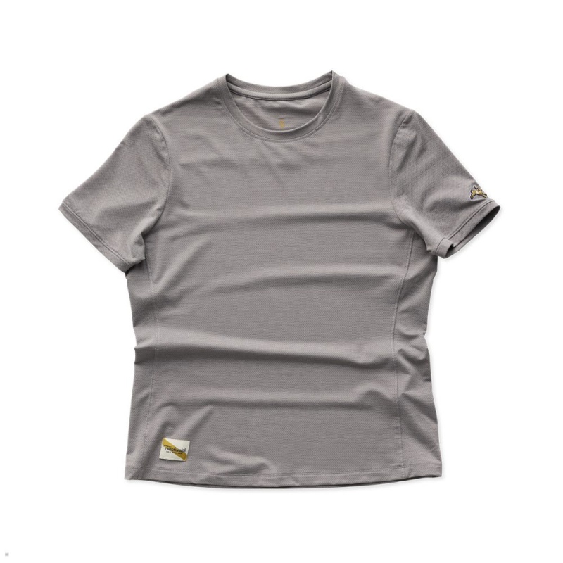 Tracksmith Session Women\'s Tee Frost Gray NZ | 32965HAKP