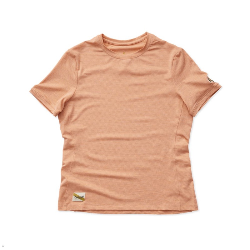 Tracksmith Session Women\'s Tee Muted Clay NZ | 02637FSXL