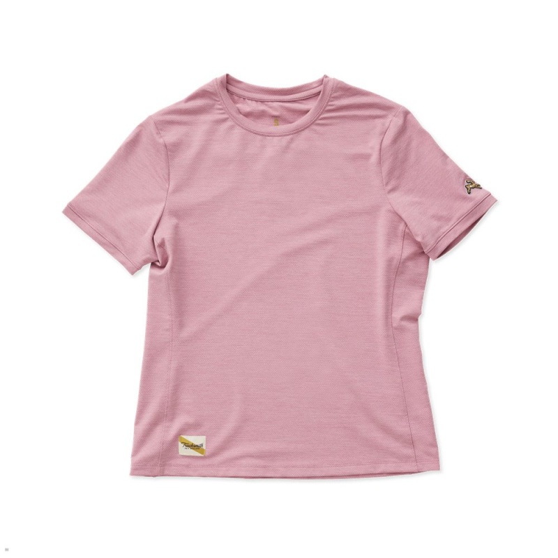 Tracksmith Session Women\'s Tee Rose NZ | 82904HCEY