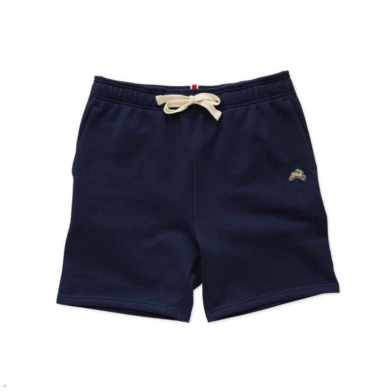 Tracksmith Trackhouse Men\'s Shorts Navy NZ | 90172FDHJ