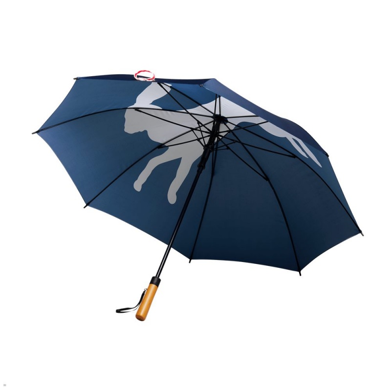 Tracksmith Umbrella Other Accessories Blue NZ | 18039FXZU