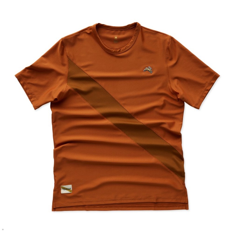 Tracksmith Van Cortlandt Men\'s Tee Brick Red/Caramel NZ | 69820QDXP