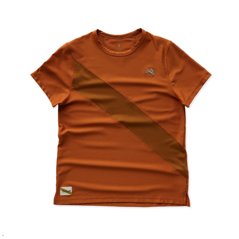 Tracksmith Van Cortlandt Women\'s Tee Brick Red/Caramel NZ | 14836PVBQ